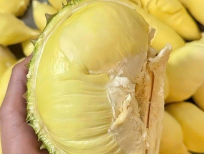 Kinh tế - Sầu riêng đổ bộ Hà Nội với giá chỉ từ 35.000 đồng/kg, nhà vườn tiết lộ nguồn gốc