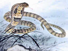 4 con giáp mùa đông này phúc khí tăng vọt, vượng vận quý nhân, tiền đầy túi