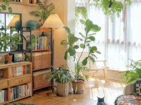 3 vị trí trong nhà dù trống cũng đừng trồng hoa, nếu không càng chăm cây càng héo, vận may tuột khỏi tay