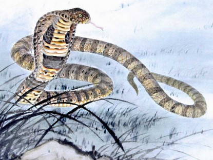 Gia đình - 4 con giáp mùa đông này phúc khí tăng vọt, vượng vận quý nhân, tiền đầy túi