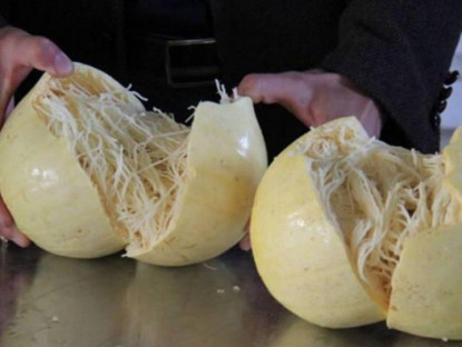 Gia đình - Quả này ruột toàn sợi giá 150.000 đồng/kg, trồng được quanh năm, chăm cực dễ, 3 tháng sẽ cho thu hoạch