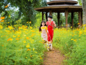 Sống tại Solaria Rise – Tổ ấm của cha mẹ, thế giới khám phá của con