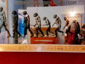 Bằng chứng hai loài tổ tiên của con người có thể đã cùng tồn tại