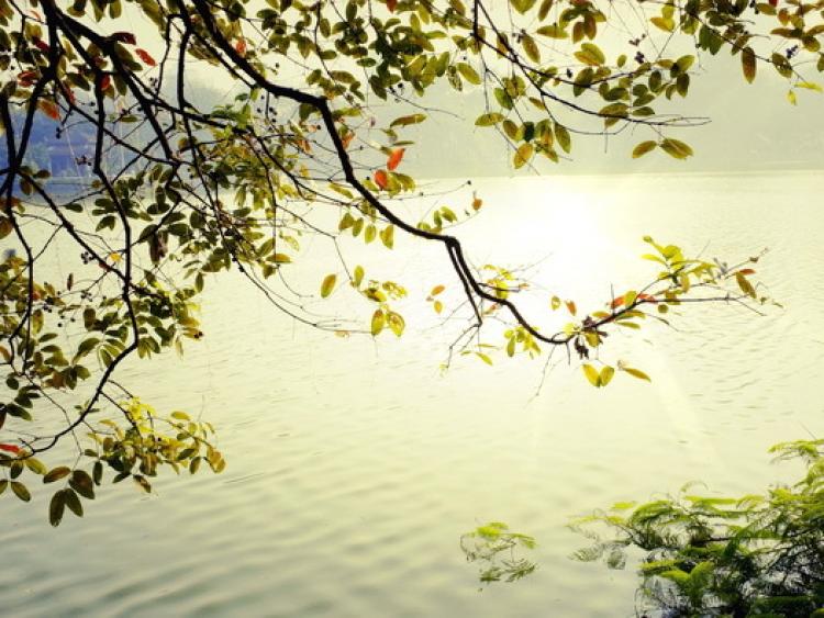 Khi mùa đông đến (tùy bút)