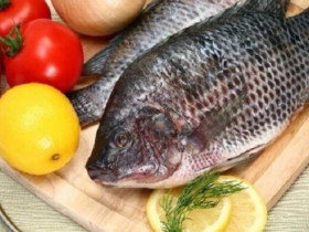 Loại cá dân dã của Việt Nam được ví như “cá hồi thịt trắng”, đạm gấp 7 lần sữa, làm thành món ngày cả nhà húp cạn nồi
