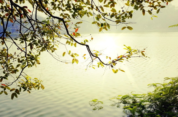 Khi mùa đông đến (tùy bút) - 1