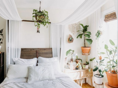 Gia đình - 4 loại cây &quot;sản xuất oxy&quot; một cách bí mật vào ban đêm, trồng một chậu trong phòng sẽ giúp bạn ngủ ngon hơn