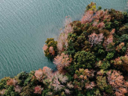 Du lịch - Rừng phong hương Quảng Trị đổi màu đẹp như &quot;trời Âu&quot;