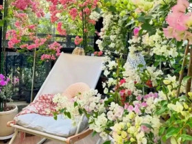 10 loại hoa được ca ngợi khắp thế giới vì đẹp đến ngất ngây, nhìn một lần là mê, biến vườn nhỏ thành tiên cảnh