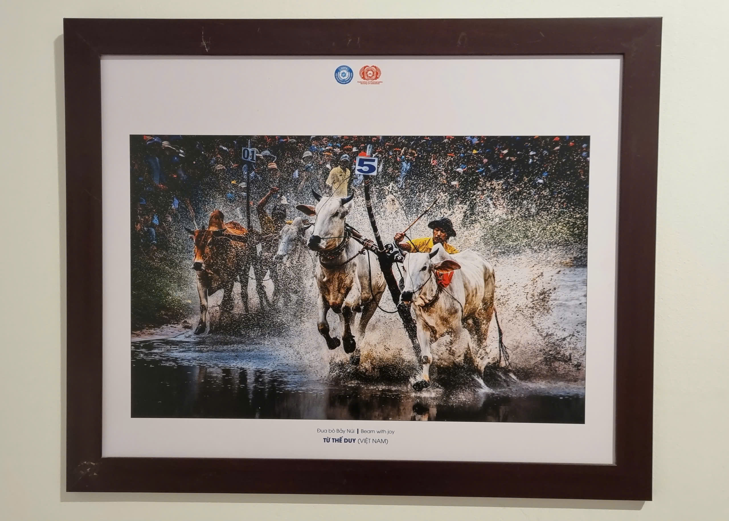 Thưởng lãm 140 ảnh nghệ thuật qua ống kính của các nghệ sĩ Việt Nam và Indonesia - 11