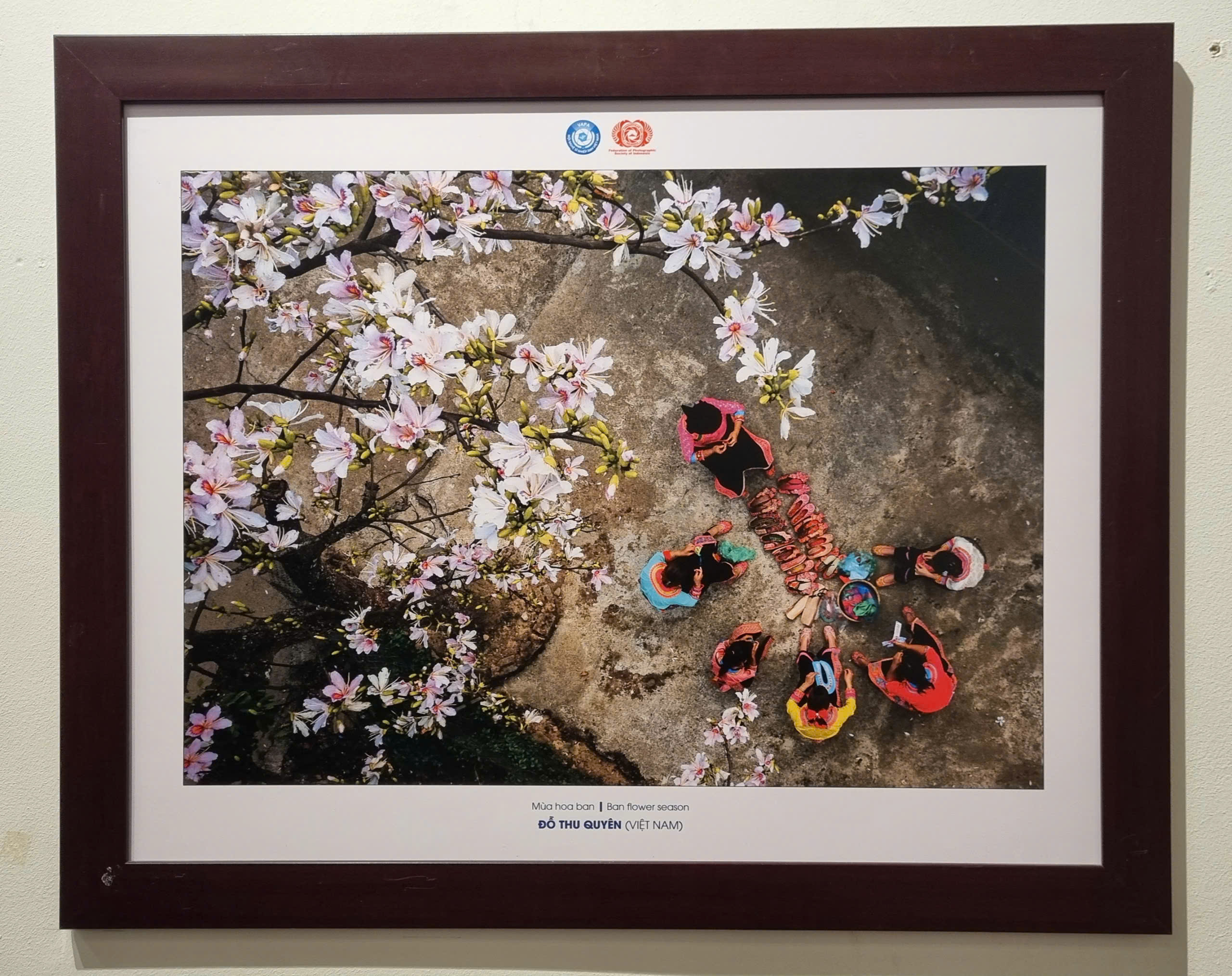 Thưởng lãm 140 ảnh nghệ thuật qua ống kính của các nghệ sĩ Việt Nam và Indonesia - 15