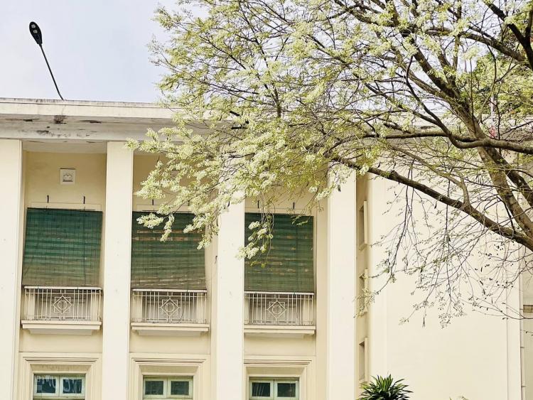 Những câu thơ trong trí nhớ