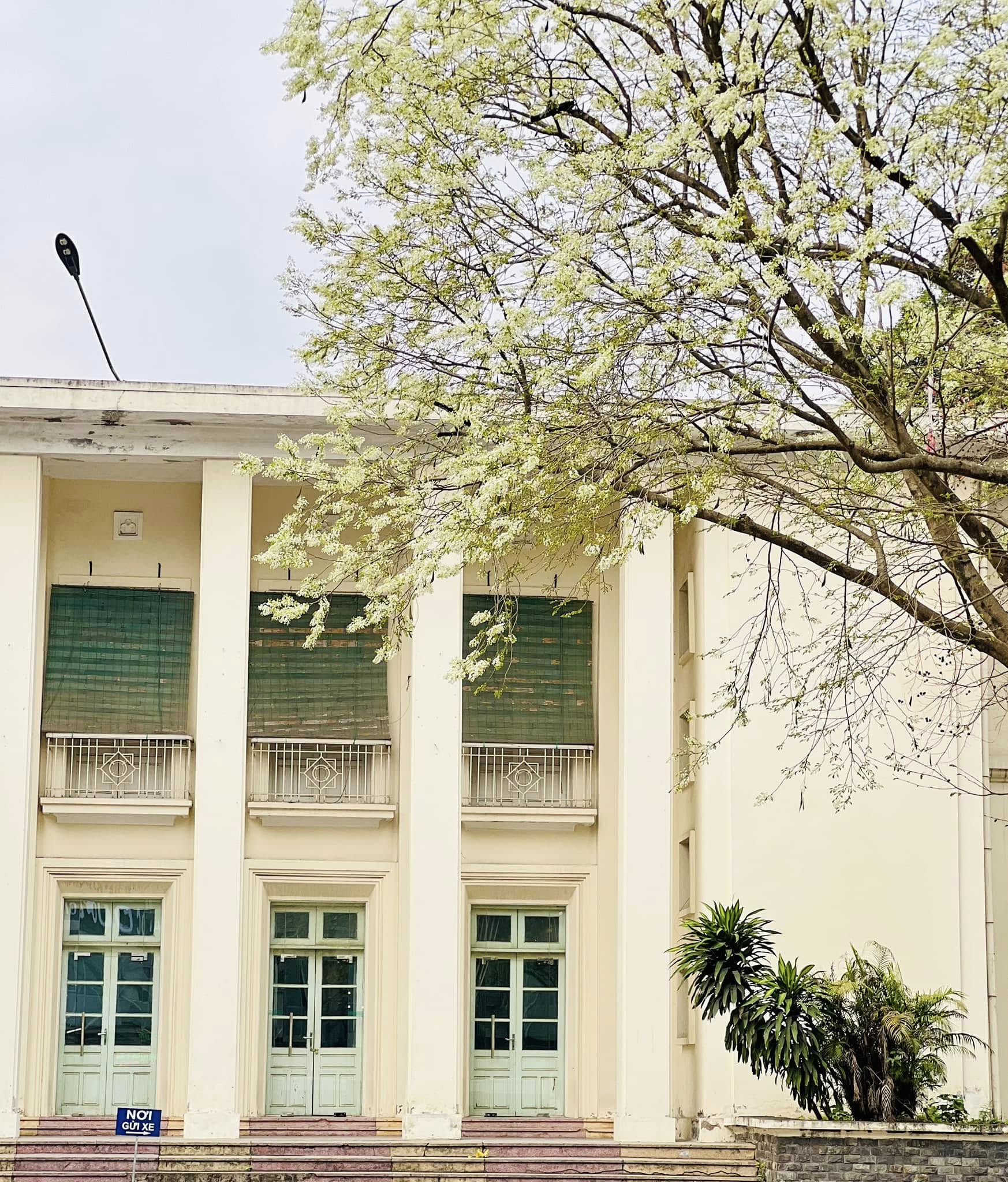 Những câu thơ trong trí nhớ - 1