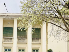 Những câu thơ trong trí nhớ