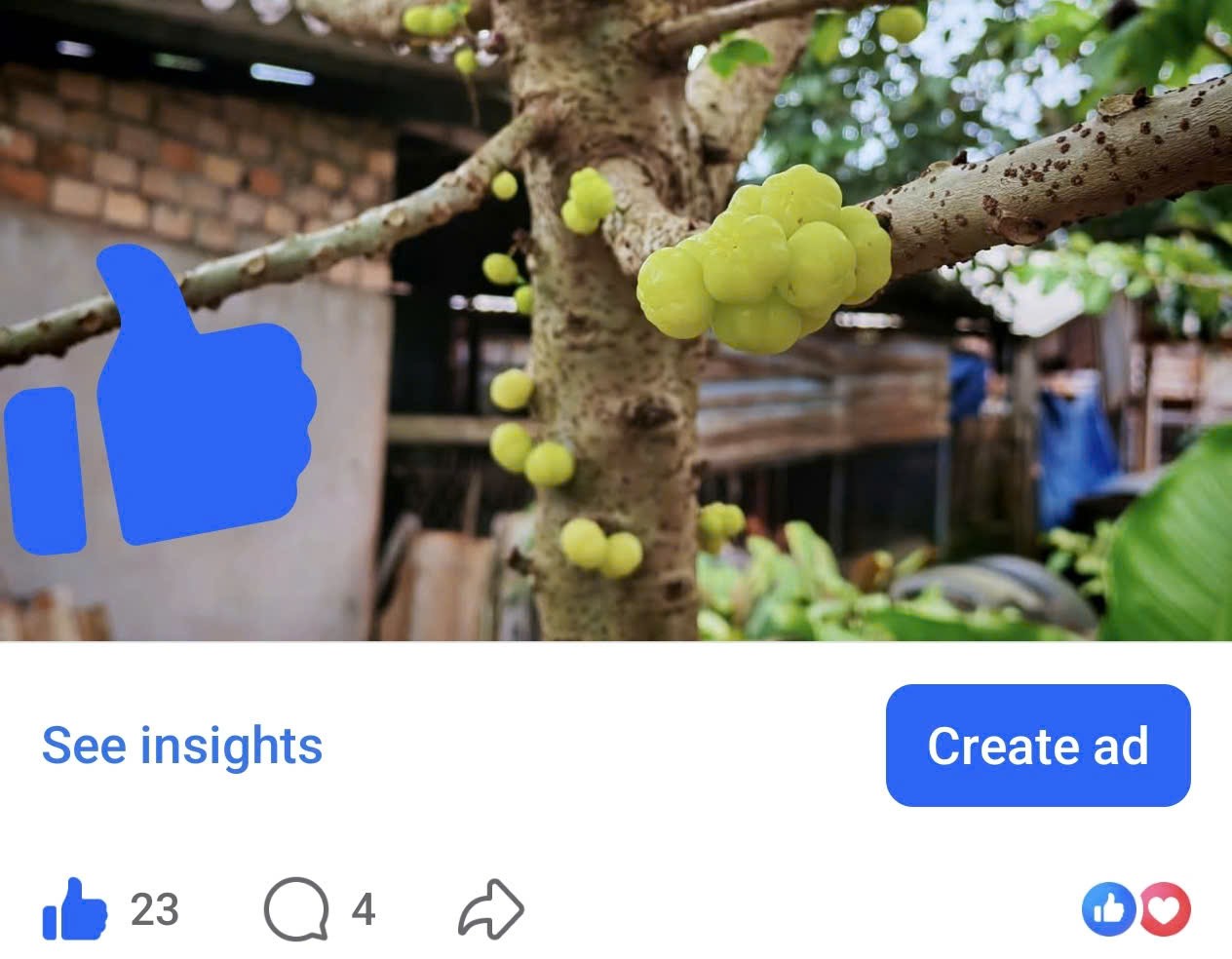 Facebook vừa có 4 thay đổi: Logo, giao diện, cách Like và nút Dislike - 3