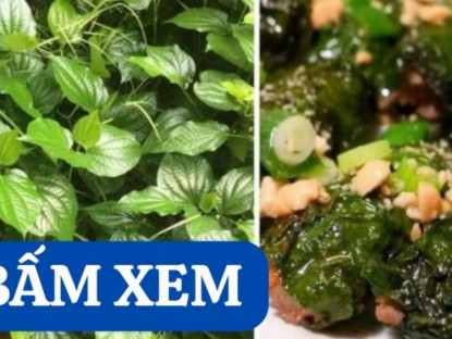 Thông tin doanh nghiệp - Bí ẩn loại lá được mệnh danh là ‘nhân sâm” của người nghèo bị đau khớp!