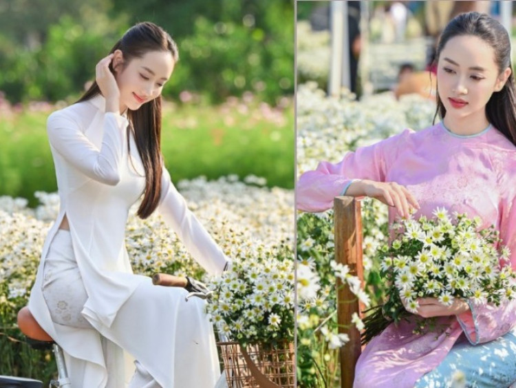 Hà Nội đẹp nao lòng với loài hoa báo mùa đông sang