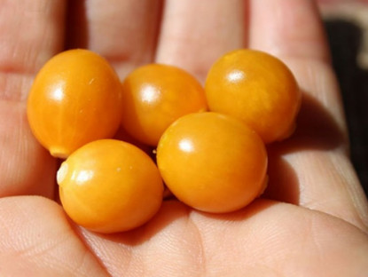 Thông tin doanh nghiệp - Rối loạn tiền đình, đau đầu, chóng mặt, mất ngủ: Hàng ngàn bệnh nhân bất ngờ đón tin vui