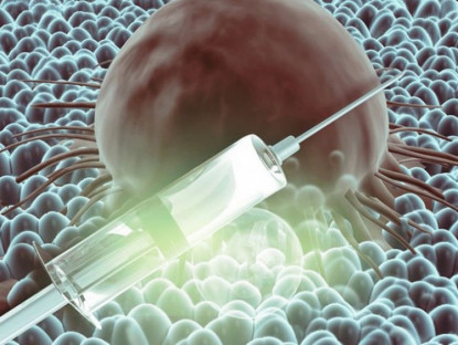 Công nghệ - Tạo “trí nhớ miễn dịch” chống khối u, vắc-xin mới gây chú ý giới khoa học