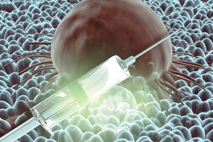 Tạo “trí nhớ miễn dịch” chống khối u, vắc-xin mới gây chú ý giới khoa học - 2