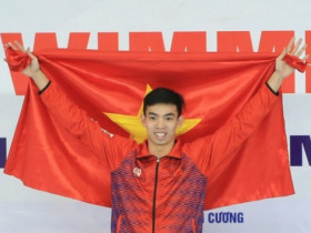 Lịch thi đấu môn bơi lội SEA Games 33 mới nhất
