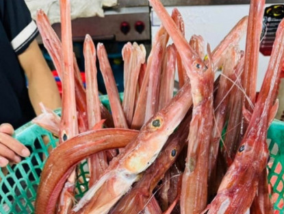 Kinh tế - Loài cá màu đỏ cam, miệng nhọn hoắt trông như &quot;sát thủ&quot;, ai ngờ là đặc sản của một tỉnh ở Việt Nam