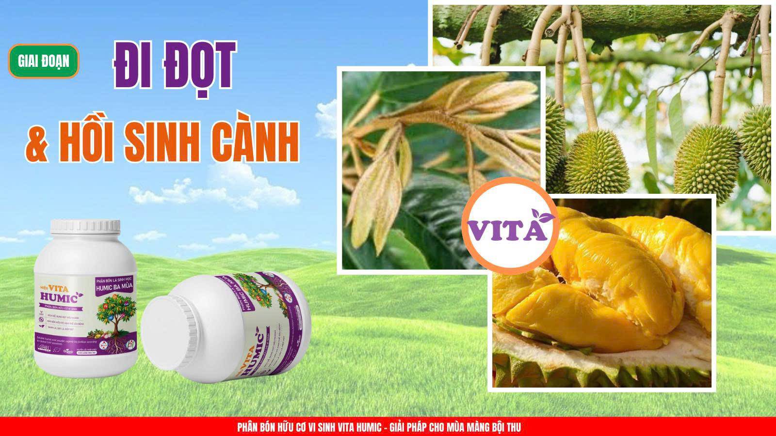 VITA HUMIC - Phân bón hữu cơ vi sinh thế hệ mới: Giải pháp chuyên biệt cho cây vàng lá, rễ yếu, không bung đọt, đất bạc màu - 3