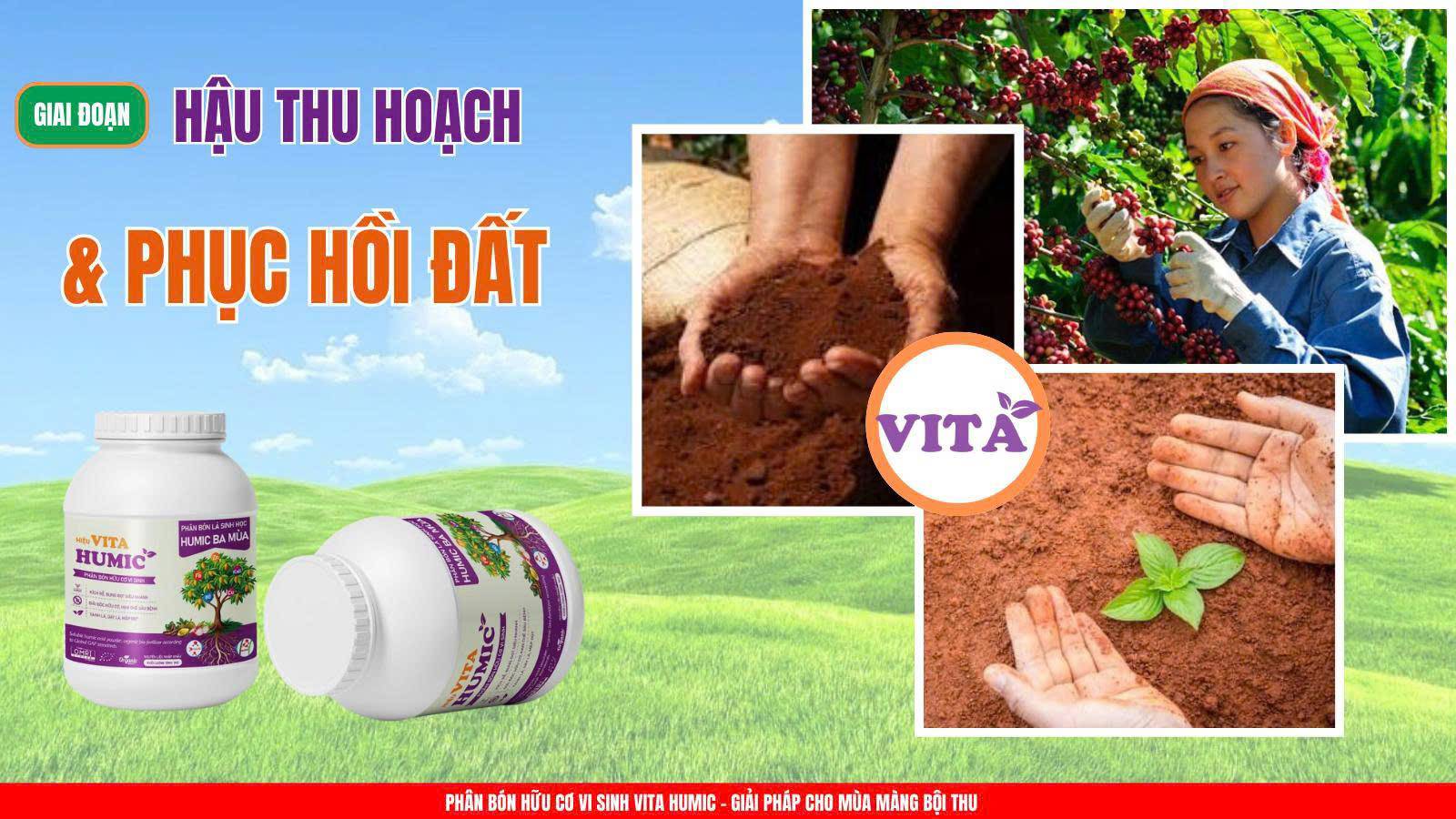 VITA HUMIC - Phân bón hữu cơ vi sinh thế hệ mới: Giải pháp chuyên biệt cho cây vàng lá, rễ yếu, không bung đọt, đất bạc màu - 2