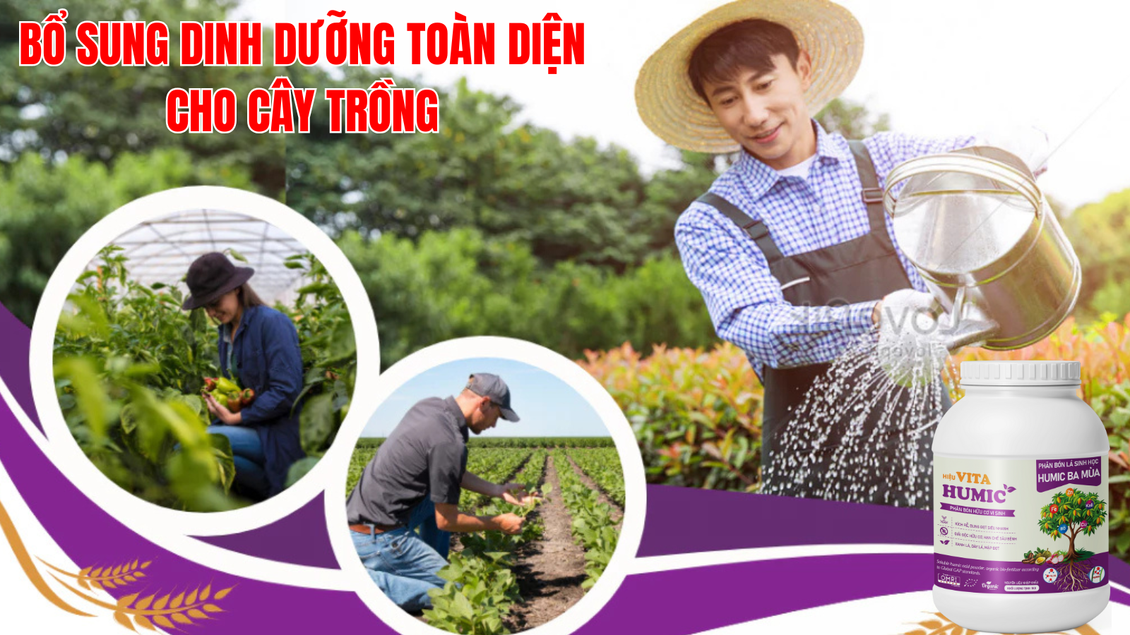VITA HUMIC - Phân bón hữu cơ vi sinh thế hệ mới: Giải pháp chuyên biệt cho cây vàng lá, rễ yếu, không bung đọt, đất bạc màu - 4