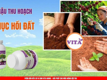 Thông tin doanh nghiệp - VITA HUMIC - Phân bón hữu cơ vi sinh thế hệ mới: Giải pháp chuyên biệt cho cây vàng lá, rễ yếu, không bung đọt, đất bạc màu