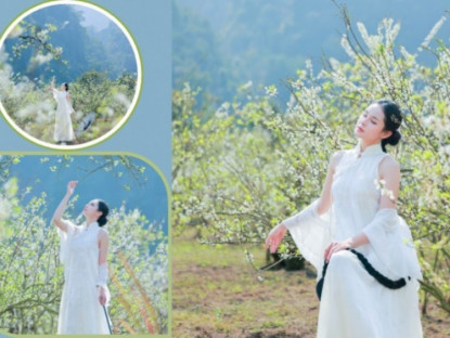 Du lịch - Ngỡ ngàng hoa mận trái mùa nở trắng sườn đồi Mộc Châu