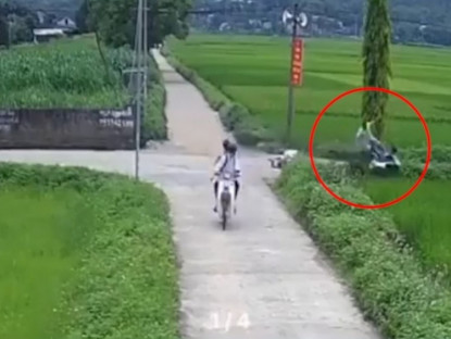 Giao thông - Clip: Va chạm học sinh ở ngã tư, người đàn ông xe lao thẳng xuống ruộng