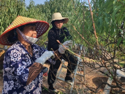 Kinh tế - Nghề “vặt lá trả tiền” tại Hà Nội, cứ đến dịp này lại làm không hết việc
