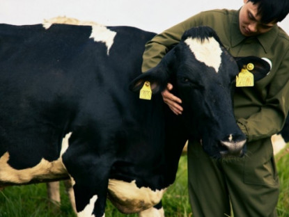 Thông tin doanh nghiệp - Mộc Châu Creamery - mở ra một bình minh mới cho di sản sữa ngon