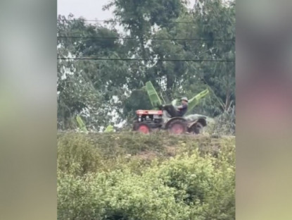 Giao thông - Clip: Nằm gác chân lái xe kéo, người đàn ông lao thẳng xuống ruộng