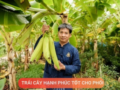 Thông tin doanh nghiệp - Loại quả được mệnh danh là “trái cây hạnh phúc”, rất giàu dinh dưỡng cho phổi, nhưng thường bị người Việt bỏ qua