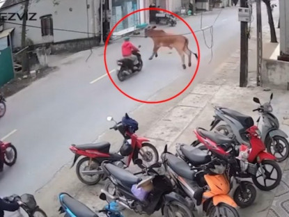 Giao thông - Clip: Thót tim "Lamborghini" lao ra từ ngõ, hạ gục người đi đường trong tích tắc