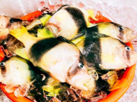 Loại cá ở Việt Nam đẹp như cá cảnh, thịt trắng và thơm ngọt như thịt gà, bán 