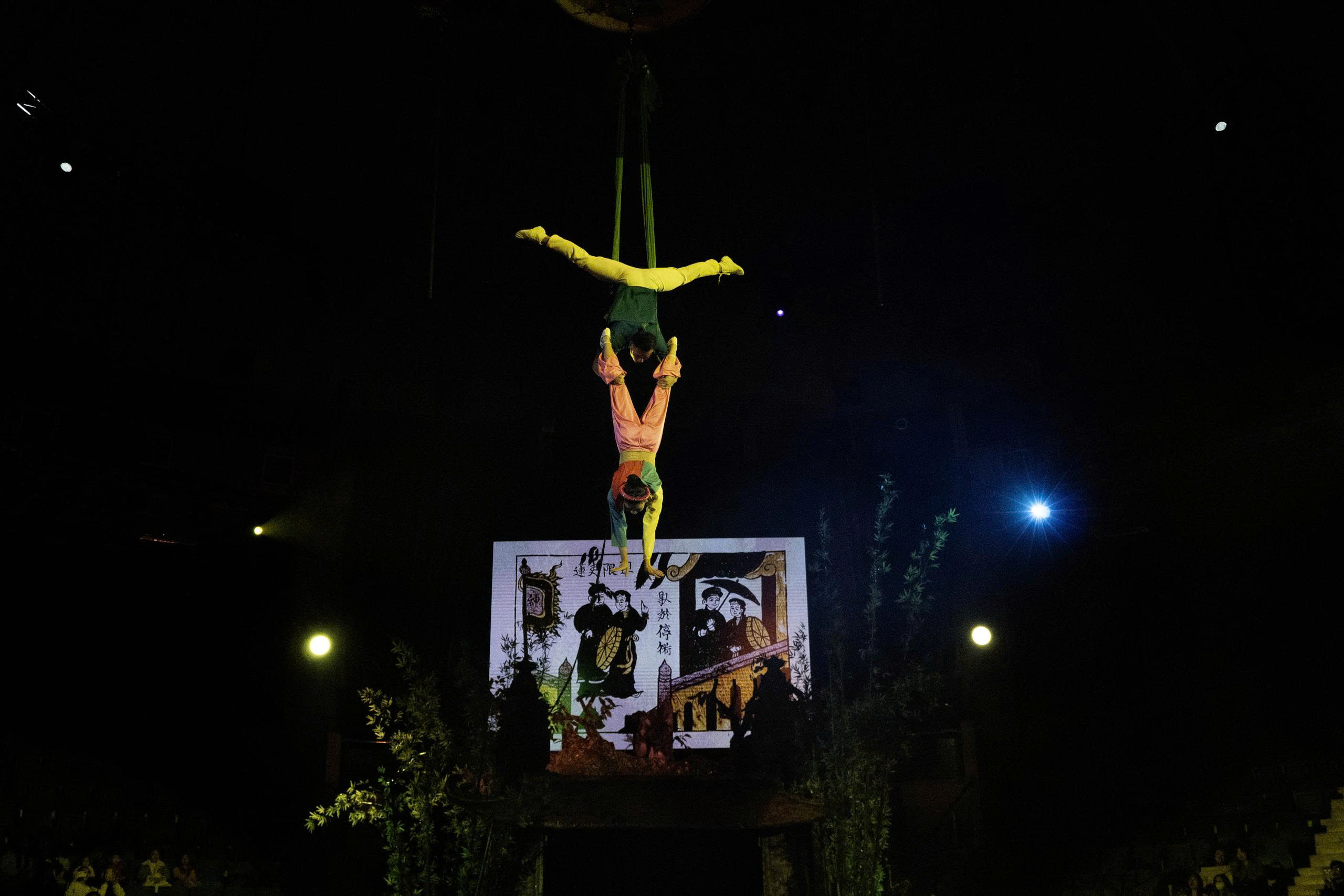 “Đánh thức” di sản tranh dân gian Đông Hồ trên sân khấu xiếc - 4