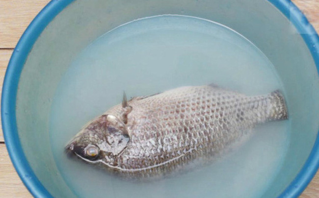 Cá rất tanh nhưng chỉ cần rút sợi dây này thì mùi tanh mất ngay lập tức, tha hồ nấu đủ món ngon - 4
