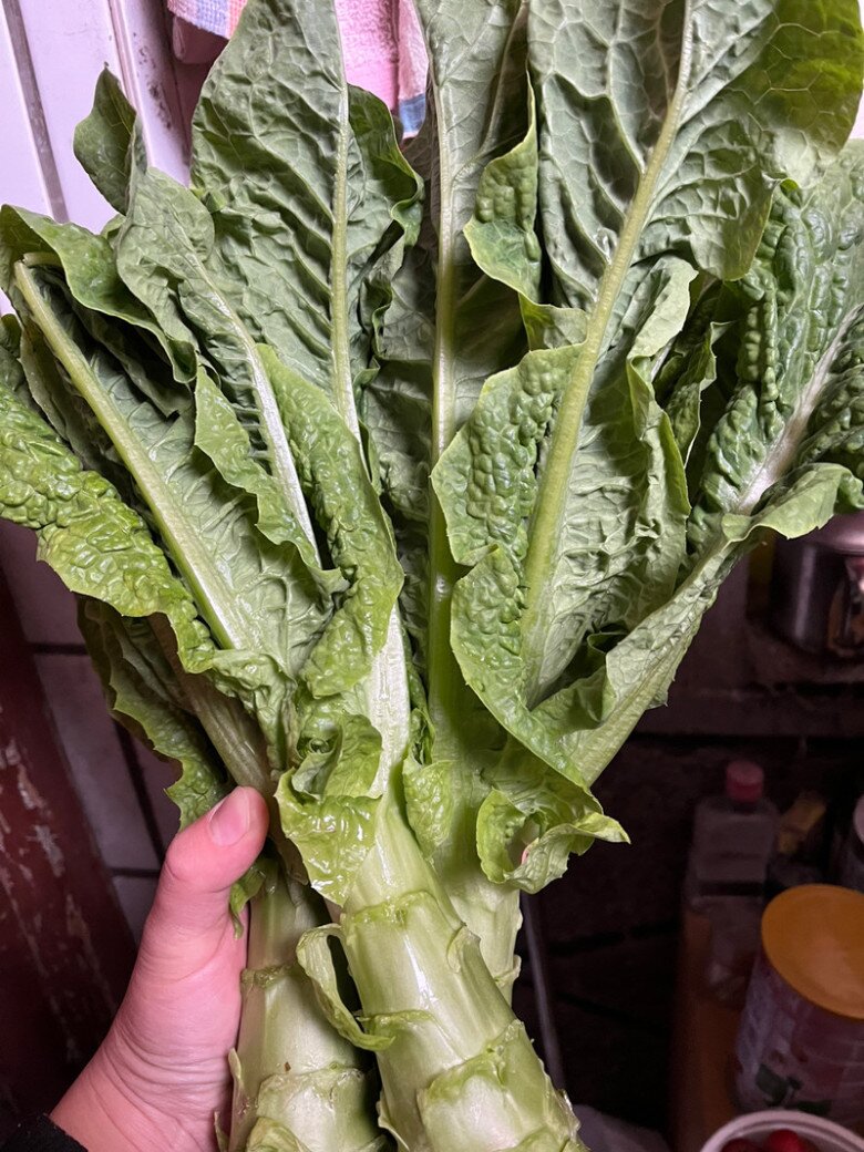 Cây này tưởng chỉ ăn lá, ai ngờ thân cũng cực ngon, đem xào món giàu canxi lại trôi cơm vô cùng - 1