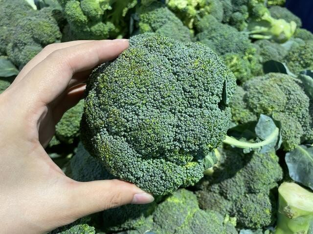 Dù bận đến mấy cũng phải chần 5 loại rau này trước khi xào, nếu lười sẽ ảnh hưởng tới sức khỏe - 3