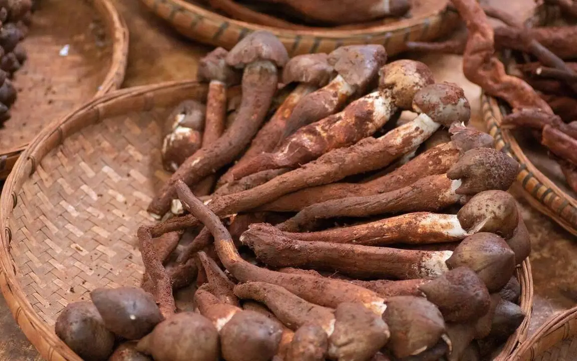 Hóa ra bao nhiêu năm nay chúng ta đều làm sai! 4 loại thực phẩm này không chỉ rửa bằng nước, càng rửa càng bẩn - 5