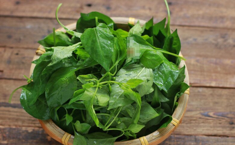 Lá này canxi gấp 2 lần sữa, nấu canh rất ngon, giúp bổ tỳ, thanh nhiệt nhưng cực ít người biết quá phí! - 2