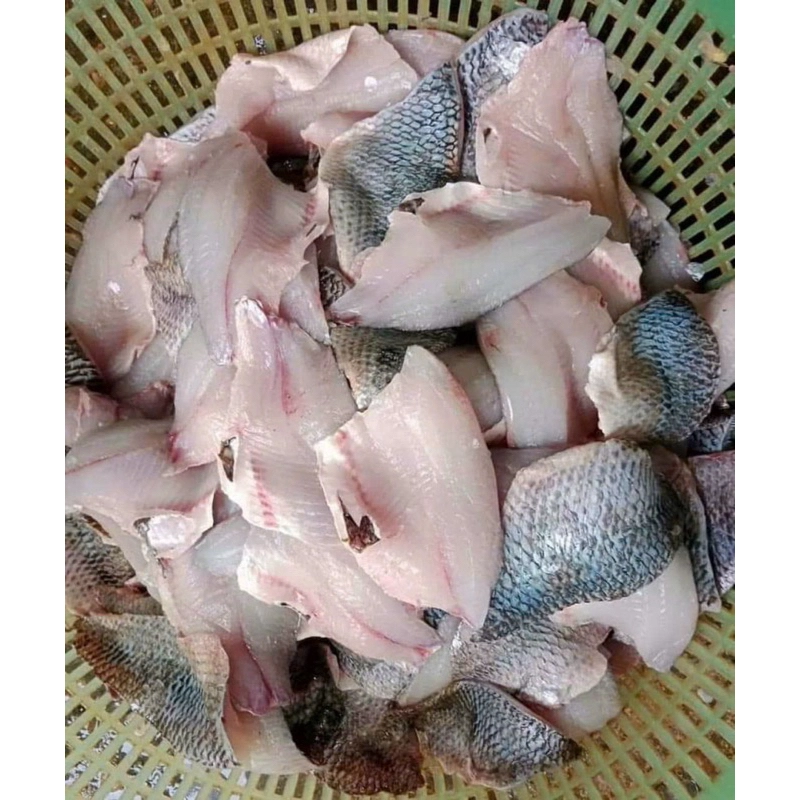 Loại cá dân dã của Việt Nam được ví như “cá hồi thịt trắng”, đạm gấp 7 lần sữa, làm thành món ngày cả nhà húp cạn nồi - 3