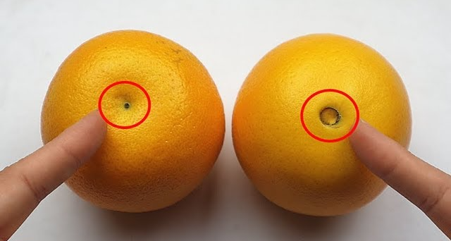 Mua cam, nhìn vào chỗ này, thấy càng to chứng tỏ càng ngọt, mua ngay kiểu hết - 2