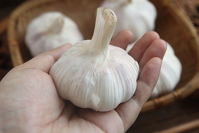 Mua nhiều tỏi, nhớ ngay 5 điều này, tỏi để cả năm vẫn không hỏng hay bị mọc mầm - 2