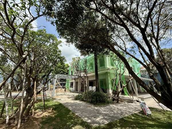 Cận cảnh gần chục người kéo cây cao 9m biểu tượng tài lộc về trồng tại biệt thự 2.000m2 của Đỗ Mạnh Cường - 3