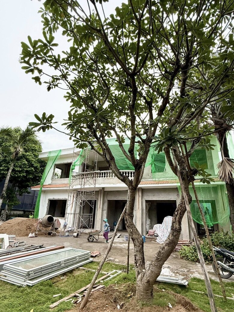 Cận cảnh gần chục người kéo cây cao 9m biểu tượng tài lộc về trồng tại biệt thự 2.000m2 của Đỗ Mạnh Cường - 17