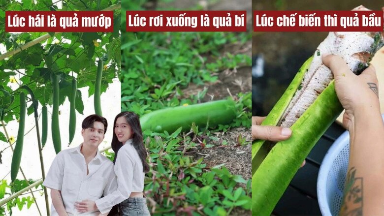 Sau clip nấu ăn gây "rối não" dân mạng, Hồ Quang Hiếu và vợ 1m80 khoe mâm cơm chân quê ai nhìn cũng thèm - 10